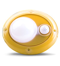 Sunking Home 200 X